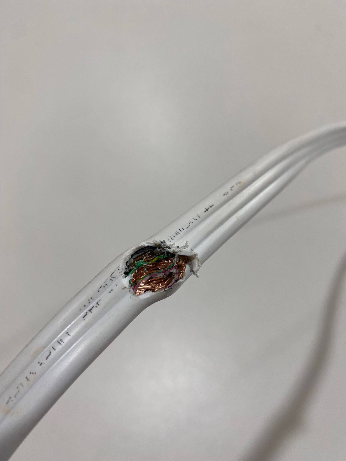Frayed, damaged electrical cable found by Buetec Electrical